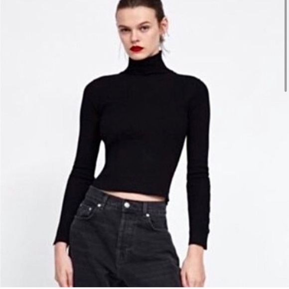 NWT ZARA KNIT RIBBED TURTLENECK WITH BUTTON DETAIL ON SLEEVES - Picture 1 of 12